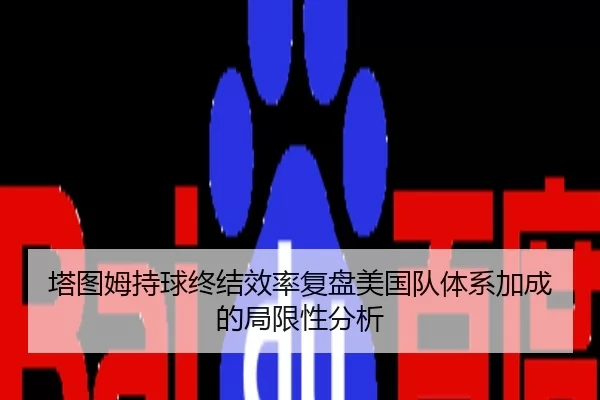 塔图姆持球终结效率复盘美国队体系加成的局限性分析