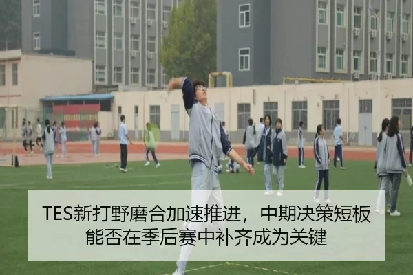 TES新打野磨合加速推进，中期决策短板能否在季后赛中补齐成为关键